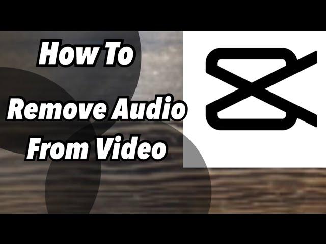 How To Remove Audio From Video| CapCut Tutorial