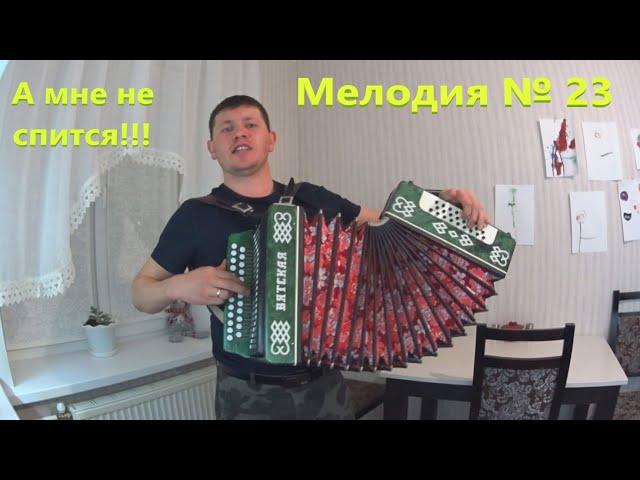 А мне не спиться!!!  С гармошкой веселее!!! Леха-Движуха!!!