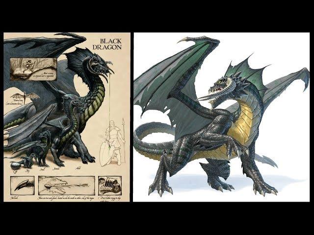 Dungeons and Dragons Lore: Black Dragon Lore