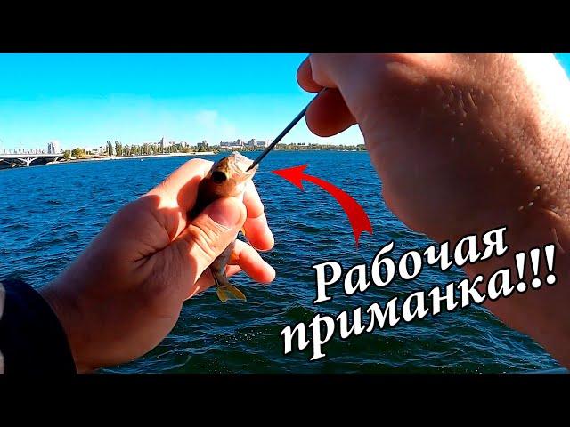 УЛОВИСТАЯ ПРИМАНКА ДЛЯ ЛОВЛИ ОКУНЯ! Ловим окуня на отводной поводок.