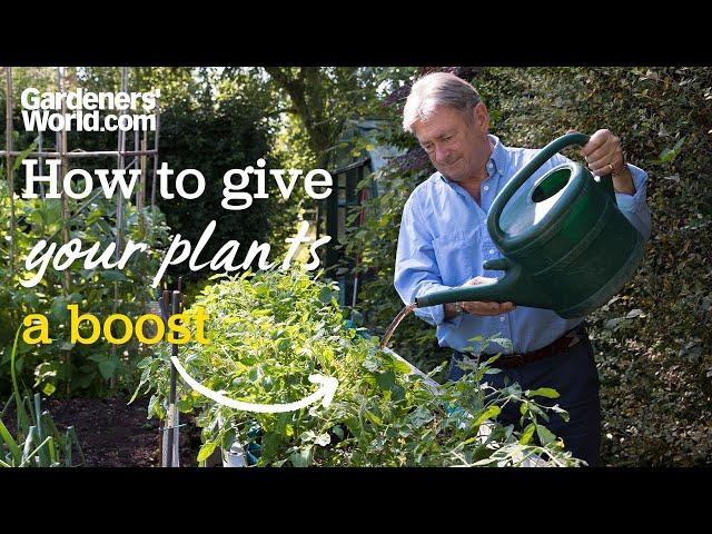 Best ways to give your PLANTS A BOOST in summer | Alan's guide to FEEDING PLANTS