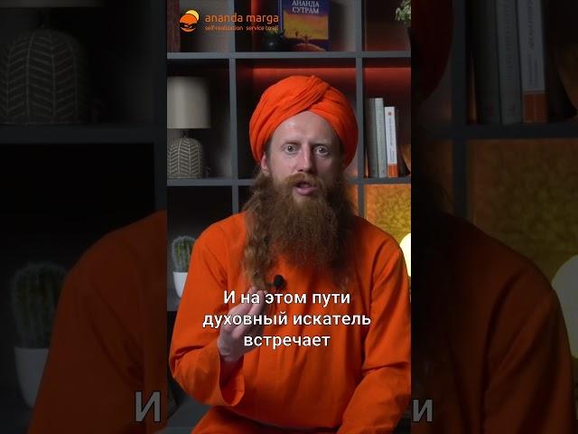 Что такое Ананда Марга?