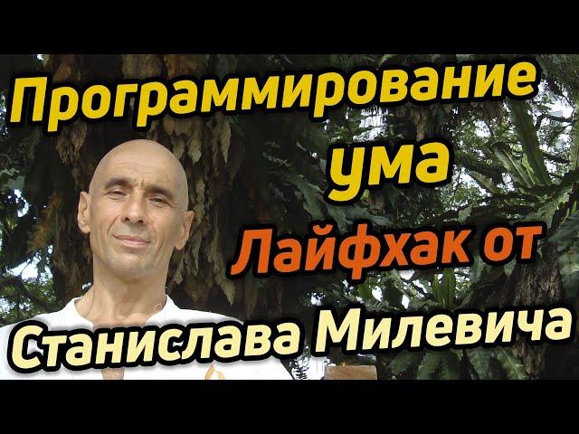 Оптимизация работы ума / Что и как воздействует на ум