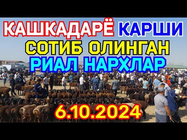 6.10.2024 СОТИБ ОЛИНГАН РЕАЛ НАРХЛАР КАРШИ КАРВОН МОЛ БОЗОРИДА