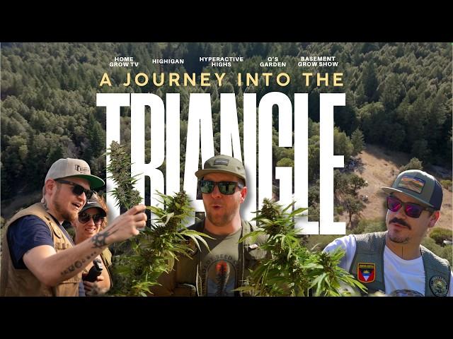 Emerald Triangle Documentary: Meet the Cannabis Pioneers and tour their farms.