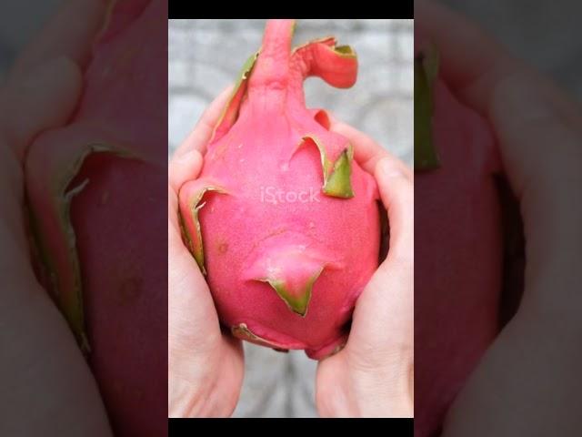 Why Is DRAGON FRUIT a Superfood?#bloxfruits