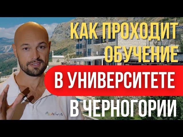 Как проходит обучение в Университете физики сознания в Черногории. Конкретный пример.