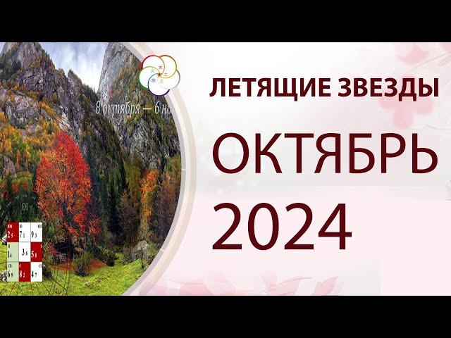 ФЭНШУЙ 2024: Прогноз по Летящим Звездам на ОКТЯБРЬ 2024