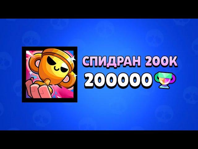 НОВЫЙ ПРОЕКТ - СПИДРАН 200К 