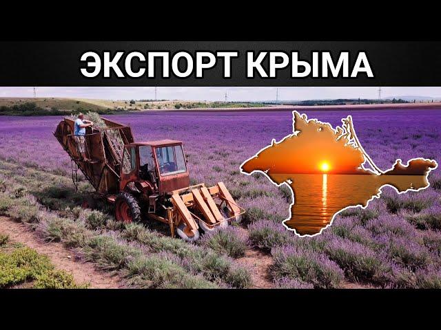 Крымский экспорт.  Документальный фильм (2020)