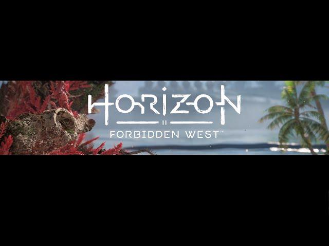 Horizon Forbidden West - Notebookcheck Benchmark