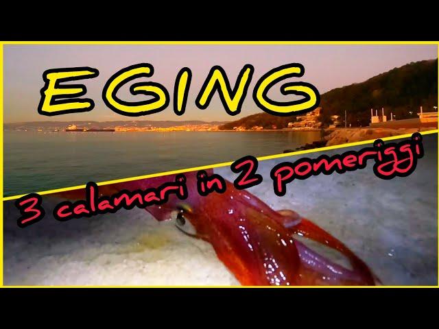 EGING: calamari di gennaio!