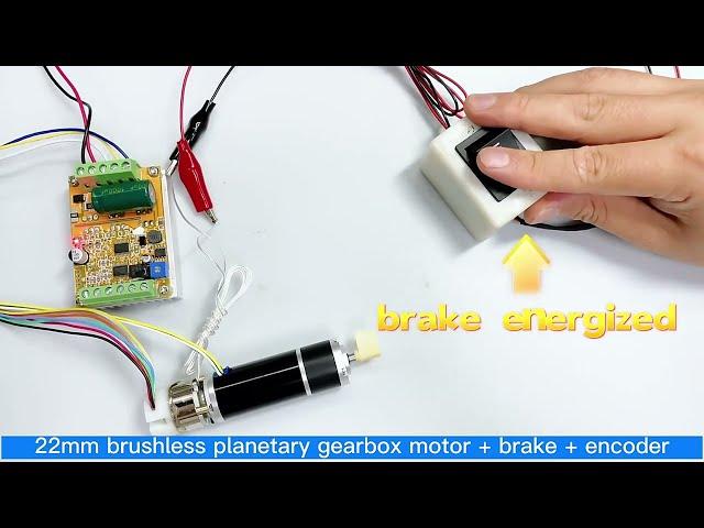 brushless dc motor with planetary gear from TT MOTOR