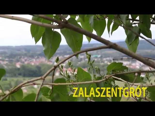 Pharrell Williams - Happy ( WE ARE FROM ZALASZENTGRÓT ) Official