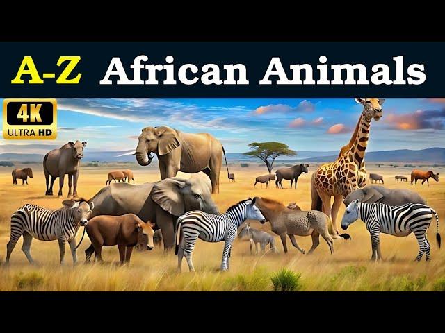 A-Z African Animals | African Animal Alphabet | ABC Animal Vocabulary | ABC for Kids