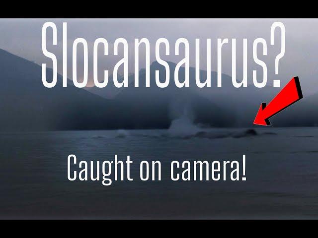 Lake Monster - Slocansaurus caught on camera! (real)