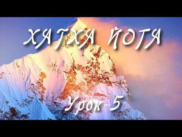 ХАТХА ЙОГА: Урок 5. Комплекс Для Всех | 7 Асан для Начинающих