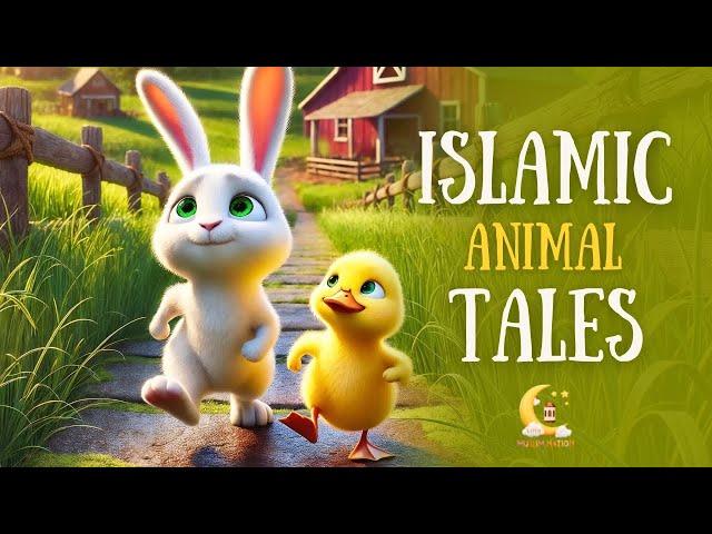 The Duckling & The Bunny  | Islamic Stories for Kids