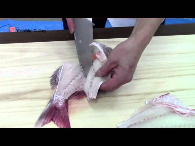 Yoshihiro Hongasumi Deba 195mm: How to Fillet a Red Snapper