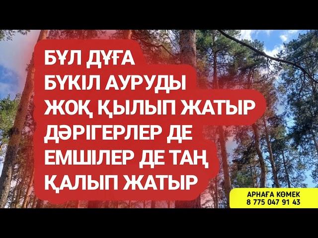 Бұл дұға бүкіл ауруды жоқ қылып жатыр дәрігер емшілер таң қалуда 3)31,26-34