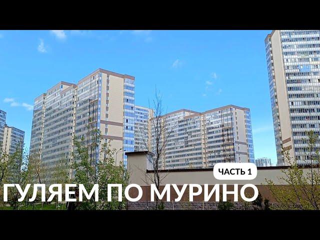 ПРОГУЛКА ПО МУРИНО ДЕВЯТКИНО САНКТ-ПЕТЕРБУРГ часть 1