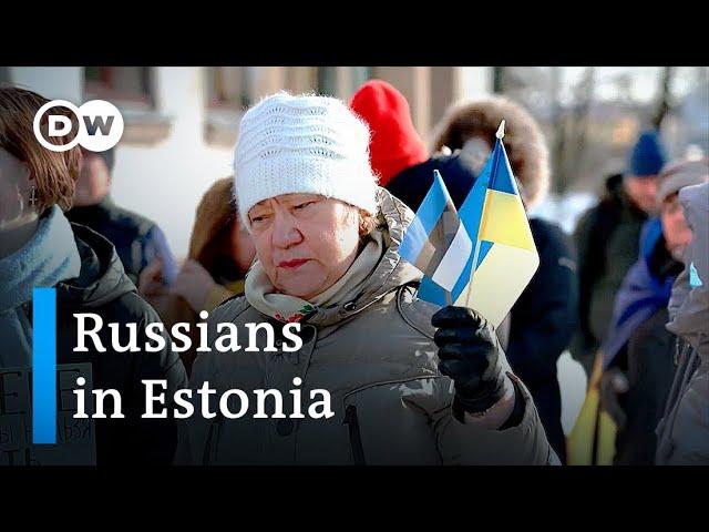 What do Russians in Estonia think about Putin's war in Ukraine? | Focus on Europe