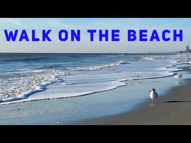 SUNRISE WALK ON THE BEACH - Virtual Walk 1 HOUR Video - Sea Waves and Sand