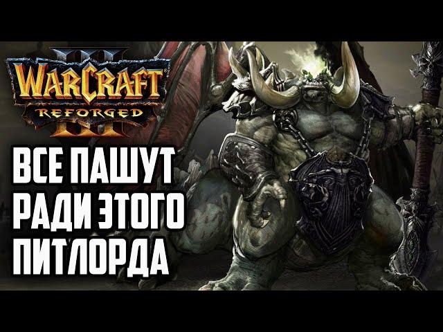 ВСЕ РАБОТАЮТ НА ОДНОГО ПИТЛОРДА: Infi Fly vs Moon Sok Warcraft 3 Reforged