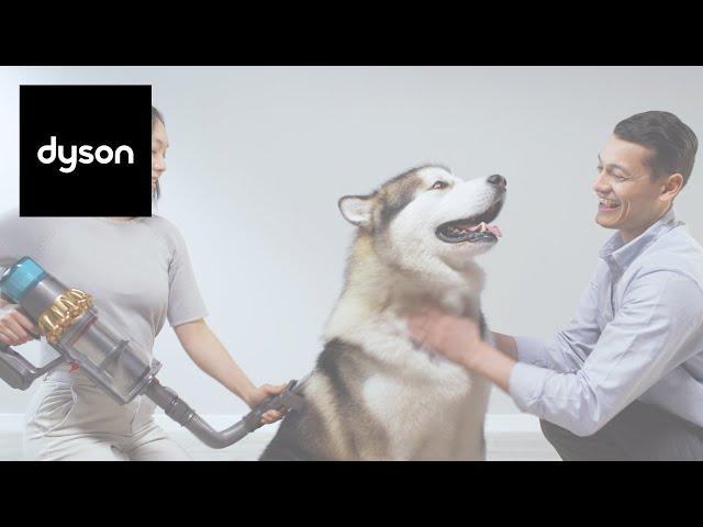 How to use the Pet grooming kit on your Dyson cordless vacuum