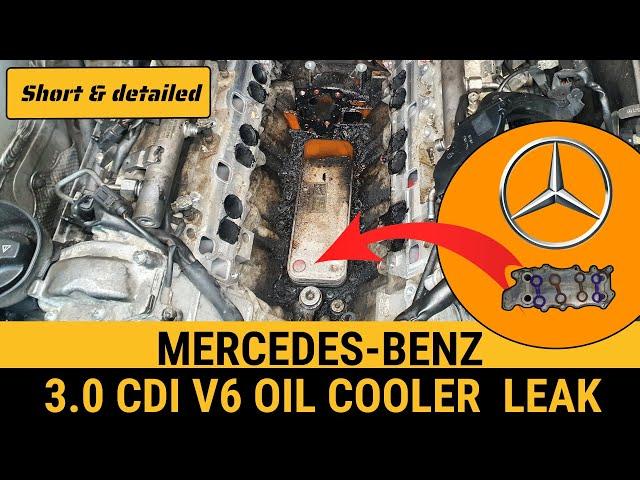 Uncovering the Mercedes Oil Cooler Leak: Vito, Viano, ML350 & More!