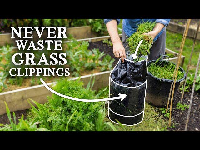 GRASS - The Most Valuable FREE Resource for Growing Food