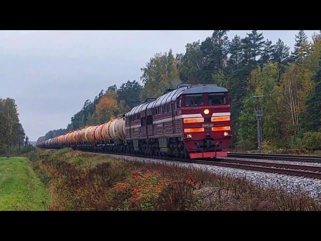 2TE116-1259 (LDZ Cargo) with heavy loaded oil tanks from Mažeikiai approaching Jelgava