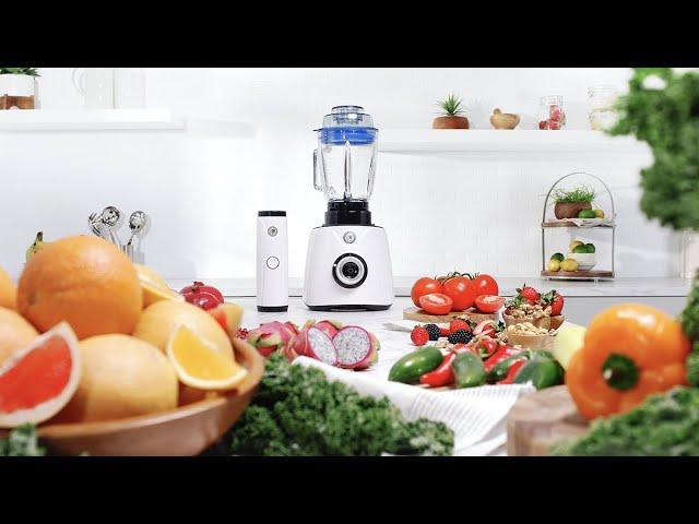 Royal Prestige® Power Blender Max