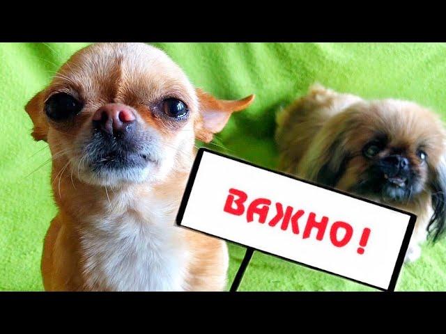 Мокрые Носики. Как нужно вести себя на природе / в лесу?!