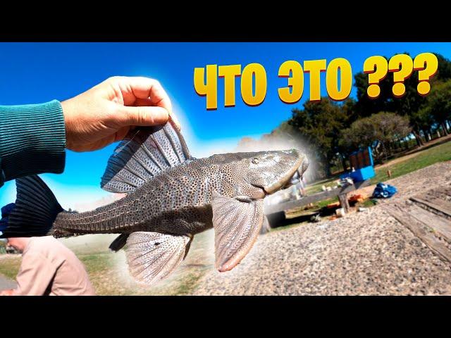 Why I DO NOT TAKE FISH Caught in Buenos Aires