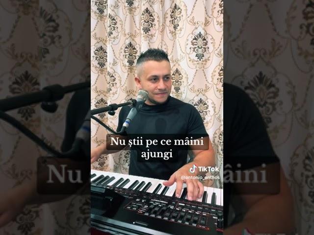 Antonio - Nu stii pe ce maini ajungi  LIVE 2024