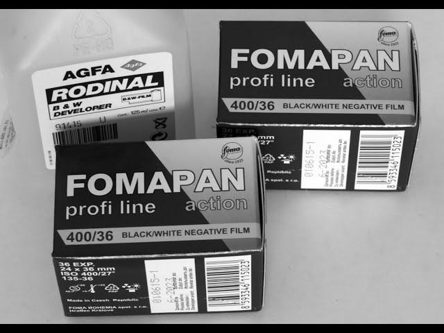 What works for me:  Fomapan 400 in Rodinal