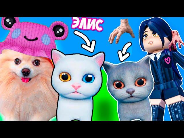 КАКАЮЩИЕ КОТИКИ ! МЫ НАШЛИ СМЕШНОГО КОТА ! ВЕСЕЛАЯ ВЕЧЕРИНКА КАКАШЕК КОТИКОВ В ROBLOX