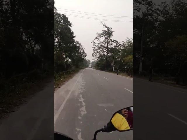 baarish #baarish #musi #travel #shortvideo #shortsfeed