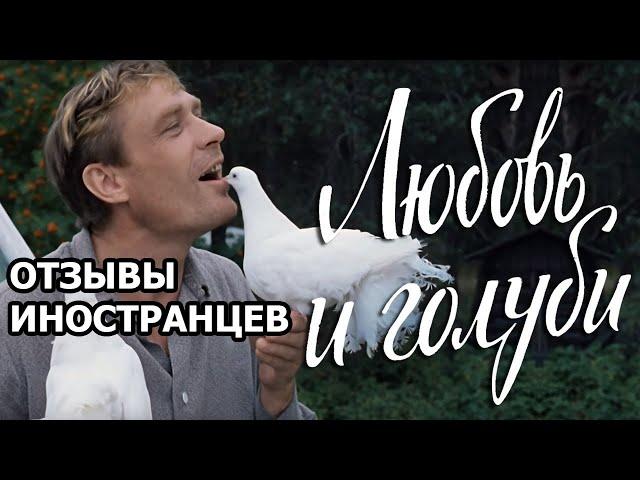 «Любовь и голуби»: посмотрите, что пишут иностранцы о нашем самом народном фильме