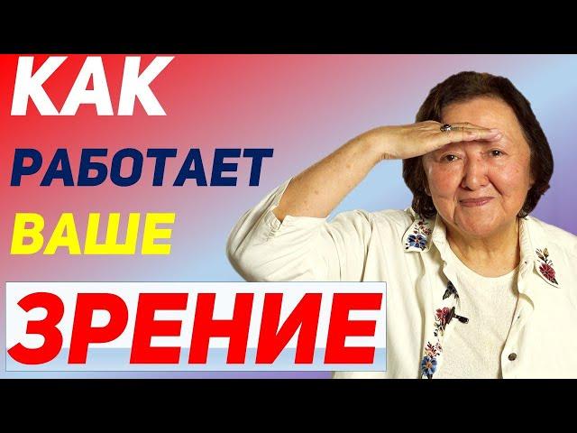 Четыре режима работы Ваших глаз