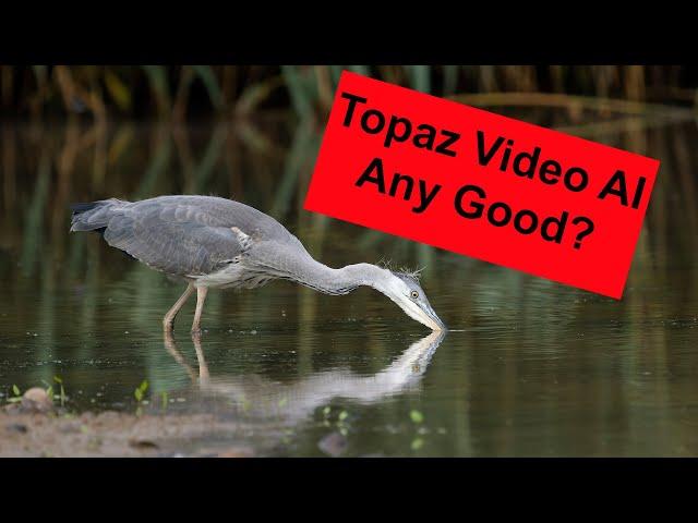 I look at Topaz Video AI mainly to see what it does to create slow motion videos from normal speeds