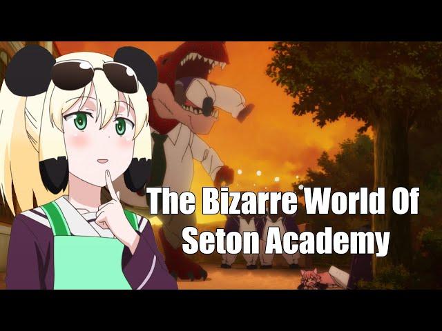 The Bizarre world of Seton Academy