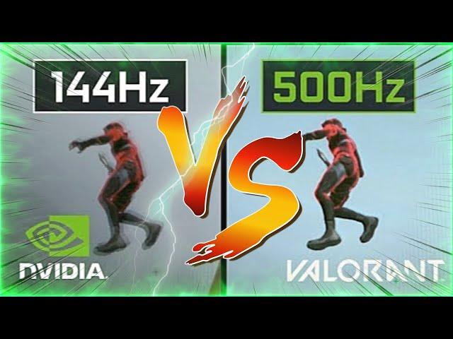 Find your ideal  Gaming Monitors | 500Hz VS 240Hz VS 144Hz