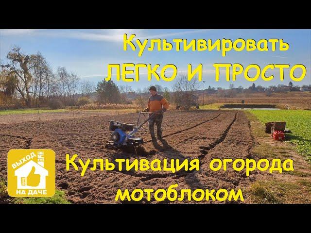 Культивация (фрезерование) огорода мотоблоком Кентавр. Культивирование 8-ю фрезами легко и просто 4К