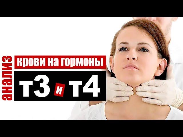 Анализ крови на гормоны щитовидной железы T3 и T4 -  трийодтиронин и  тироксин