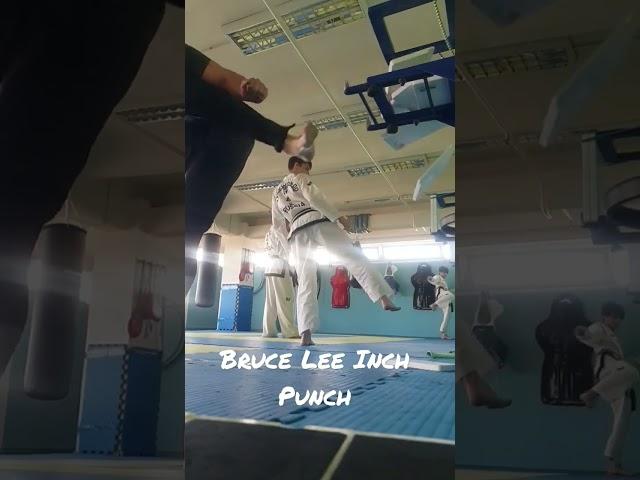 Bruce Lee Inch Punch (PowerBreaking ITF)