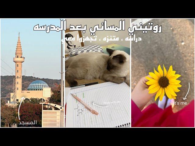 روتيني المسائي بعد المدرسه || My evening routine after school