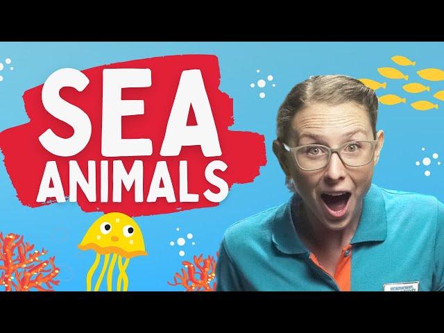 Sea Animals in Spanish for Kids | Spanish Lessons