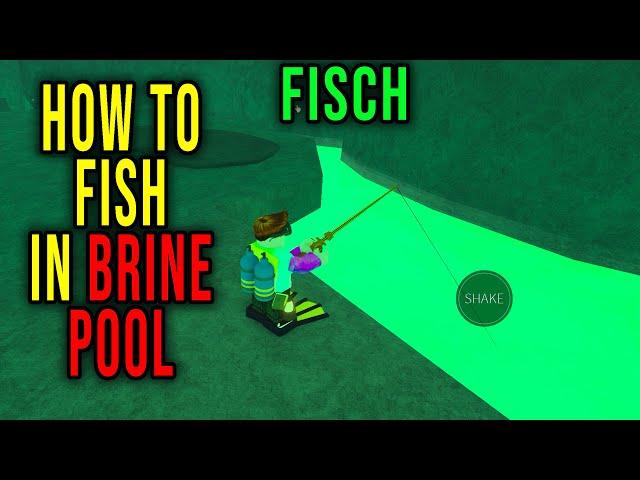 DESOLATE BRINE POOL - HOW TO FISH IN THIS LOCATION [FISCH] - Roblox